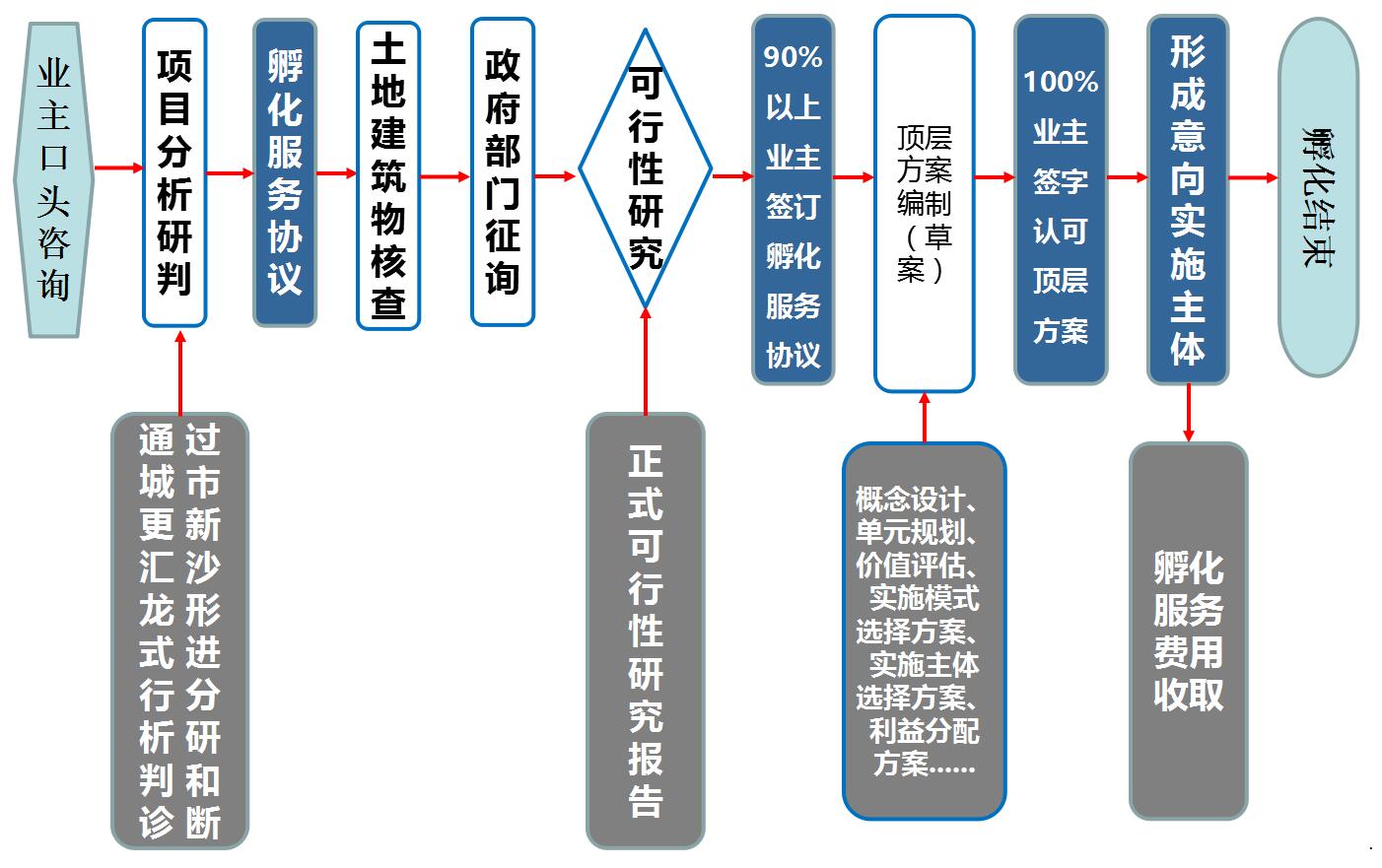 孵化流程.jpg